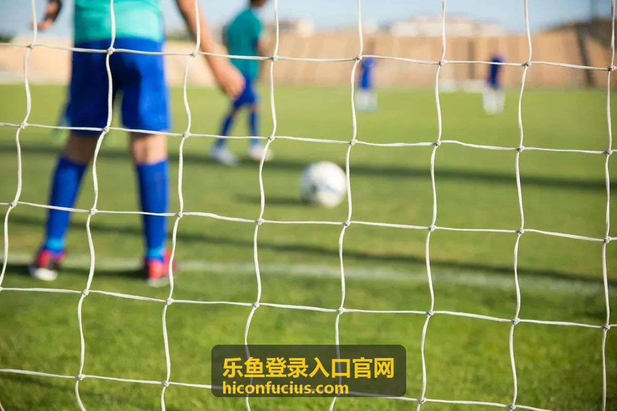 乐鱼登录入口官网客户端常见登录问题汇总
